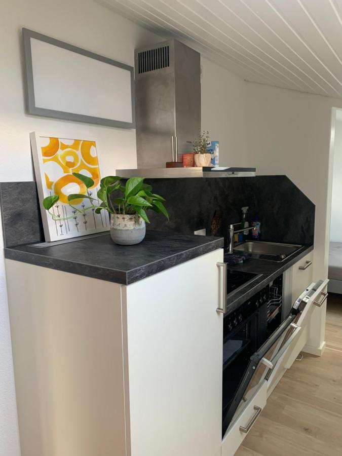 Schoene, Grosse Ferienwohnung Direkt Am Donauradweg & Keltenstadt Heuneburg Herbertingen Екстер'єр фото